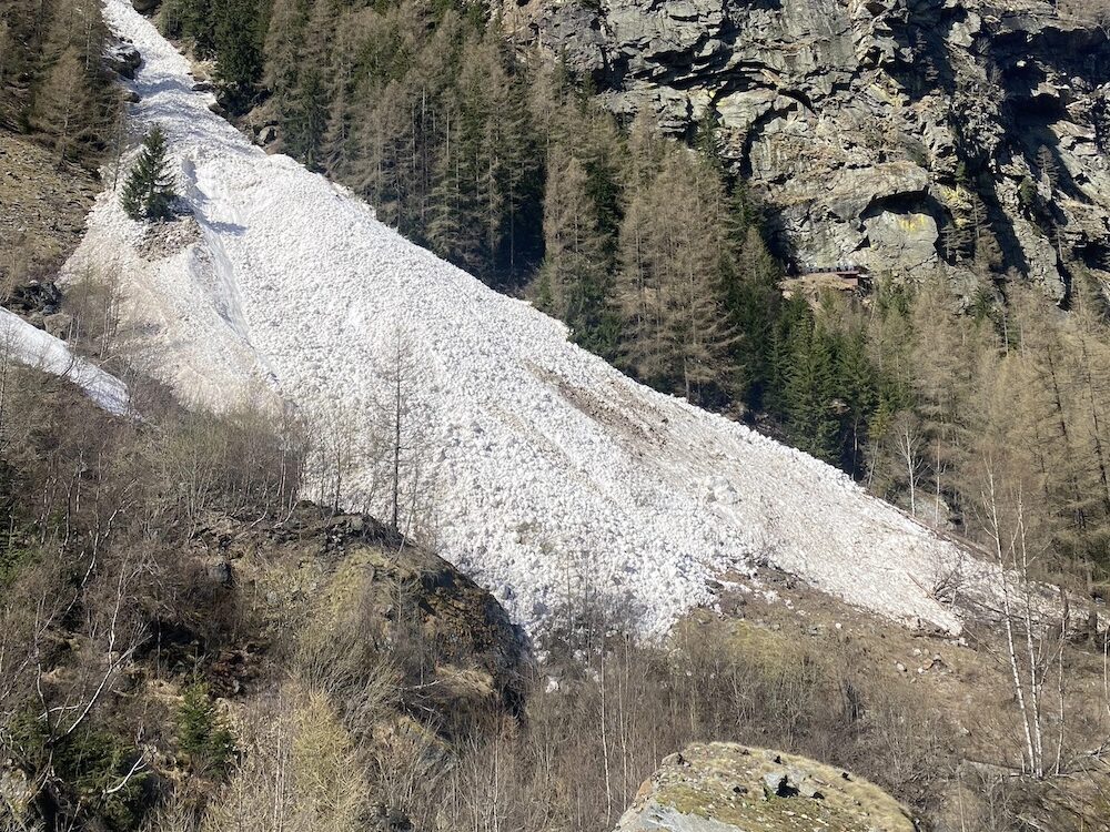 Reissen Lawinen in hohen Lagen ab, können sie trotz steigender Schneefallgrenzen immer noch so weit ins Tal vordringen wie diese Lawine, die aus der Nordostflanke des 3190 Meter hohen Lammenhorns abging. Foto: U. Andermatten